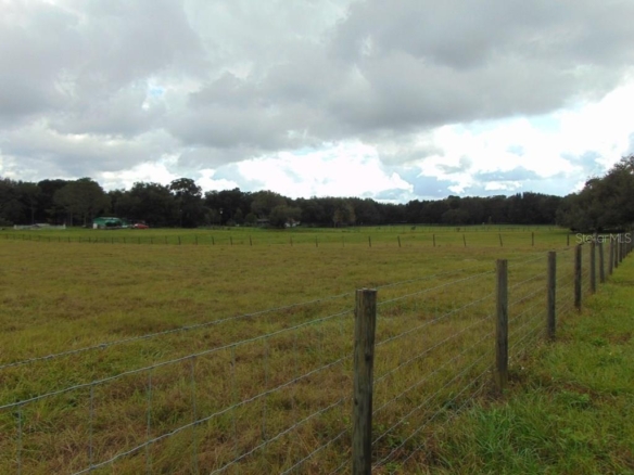 33916  COUNTY ROAD 437  ,SORRENTO,32776