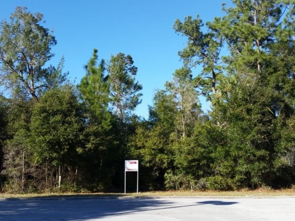 COURTLAND BLVD,DELTONA,32738